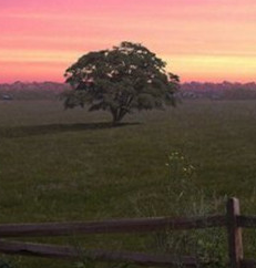 《腐烂国度2》最新原画 展现血腥中的静谧之美