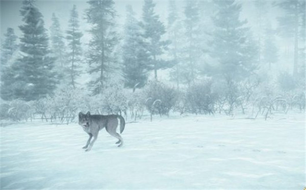 《科纳风暴》PC独占被否认? 或将登陆Switch