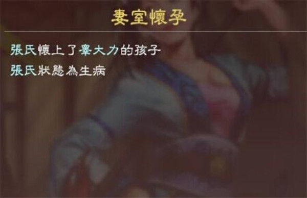 三国志13威力加强版