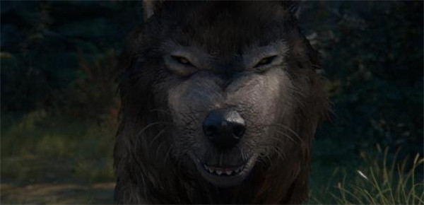 狙击手幽灵战士3存档位置说明