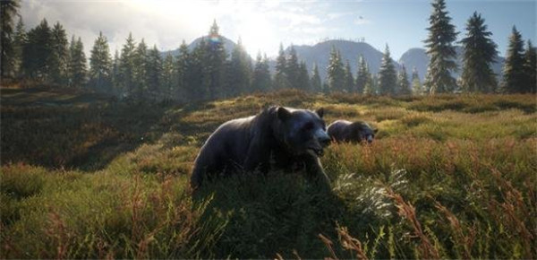 猎人:野性的呼唤拍双熊怎么做