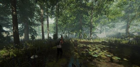 森林水源在哪 森林水源如何寻找