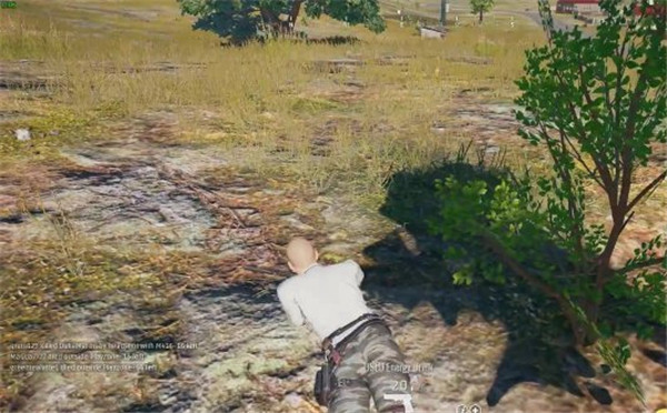 绝地求生:大逃杀