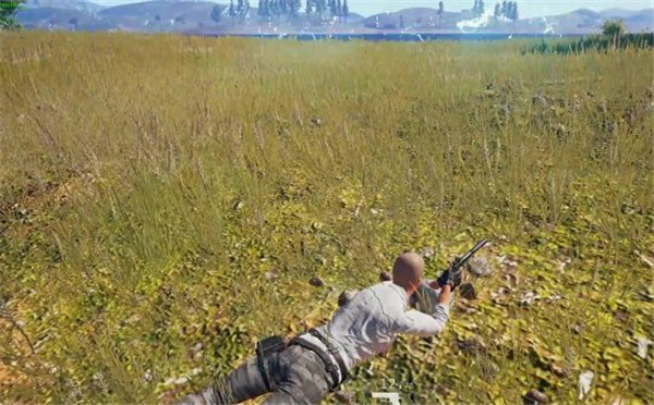 绝地求生:大逃杀