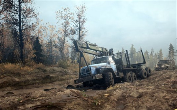 旋转轮胎:泥泞奔驰