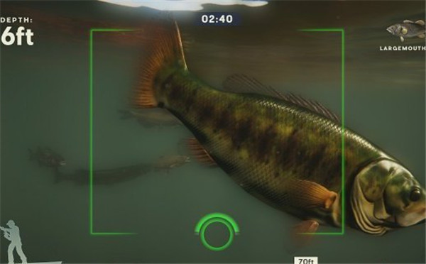 职业钓鱼:Pro系列