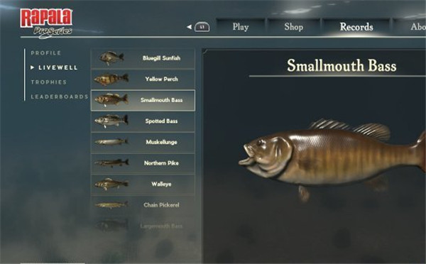 职业钓鱼:Pro系列