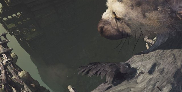 最后的守护者》PSVR版首批截图曝光 主角可爱又庄重