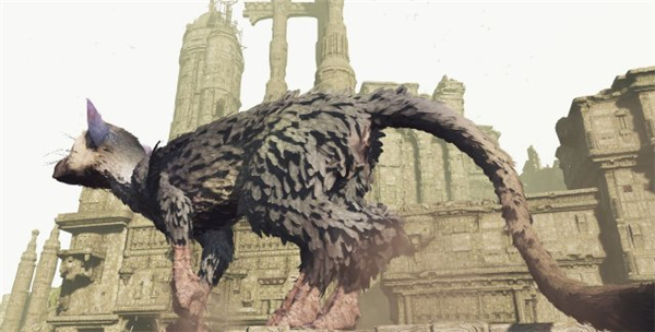 最后的守护者》PSVR版首批截图曝光 主角可爱又庄重