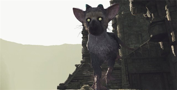 最后的守护者》PSVR版首批截图曝光 主角可爱又庄重