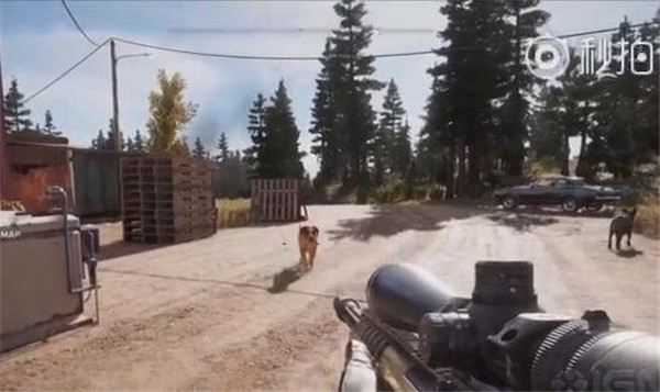 《孤岛惊魂5》狗狗宣传片中文字幕版 蒙大拿遛狗