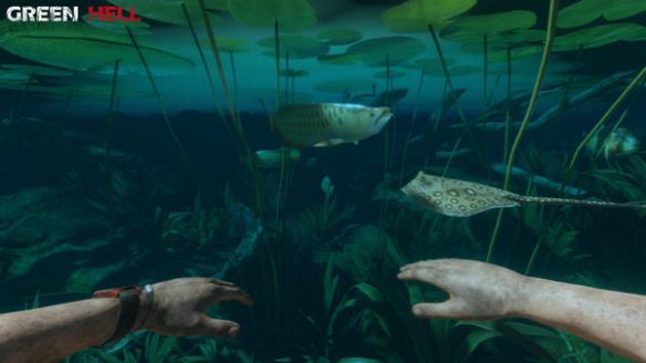 《丛林地狱》游戏主要元素及特色介绍 游戏有哪些特色