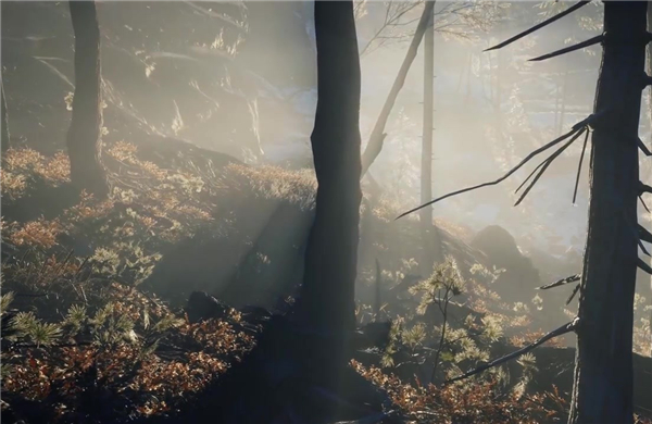 《猎人:荒野的呼唤》2019版登陆Steam 体验狩猎乐趣