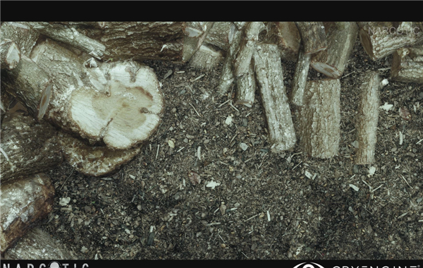 大神用最新CEV引擎开发新项目 画质超惊艳以假乱真