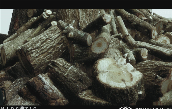 大神用最新CEV引擎开发新项目 画质超惊艳以假乱真