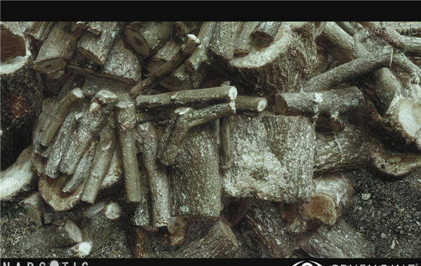 大神用最新CEV引擎开发新项目 画质超惊艳以假乱真