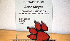 《美国末日2》开发商社区总监晒奖杯 纪念就职10周年