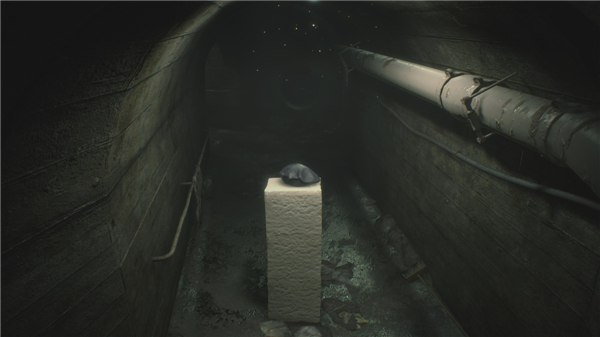 《生化危机2:重制版》全新截图 汉克背影帅气爆棚