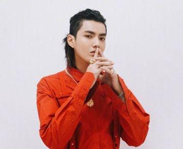 猪年央视春晚阵容曝光 蔡徐坤、张艺兴等小鲜肉登台