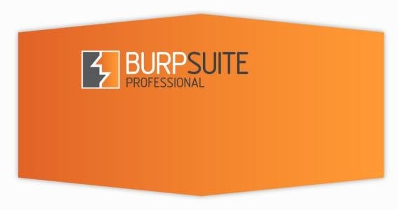 BurpSuite2