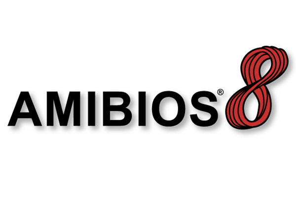 AMI BIOS 8修改工具