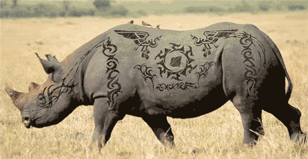 Aescripts Lockdown插件2