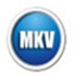 闪电MKV AVI转换器