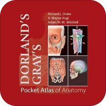 口袋解剖图谱Pocket Atlas of Anatomy TR