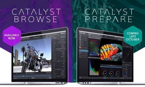 sony catalyst browse