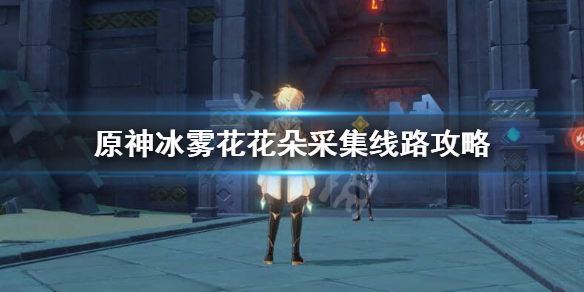 原神冰雾花花朵怎么获得