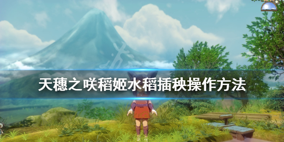 天穗之咲稻姬怎么插秧