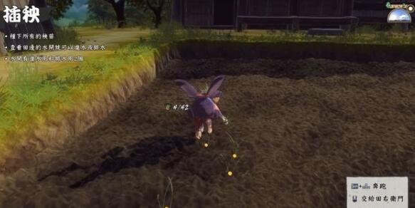 天穗之咲稻姬怎么插秧