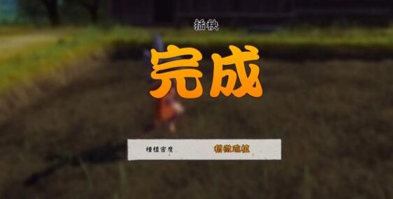 天穗之咲稻姬怎么插秧