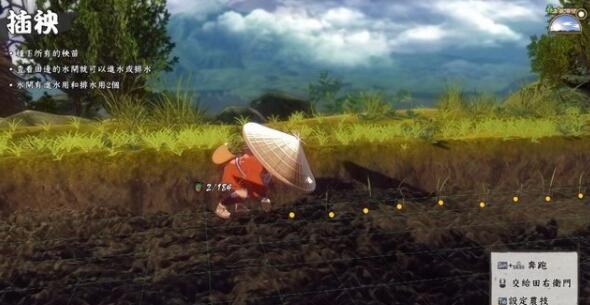 天穗之咲稻姬怎么插秧