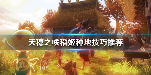 天穗之咲稻姬种地有什么技巧