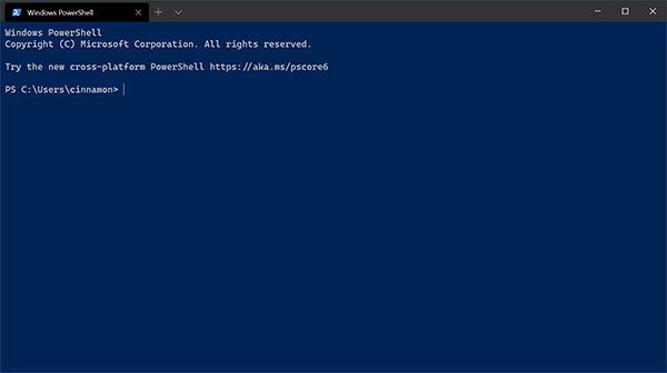 Windows Terminal(命令行终端工具)1