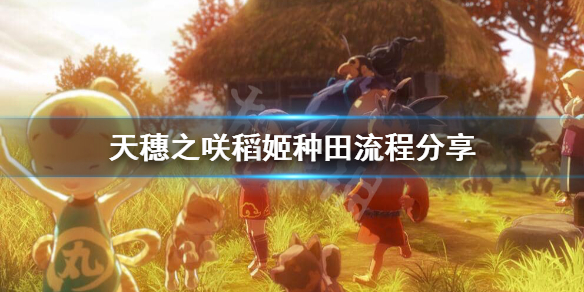 天穗之咲稻姬耕作系统怎么玩