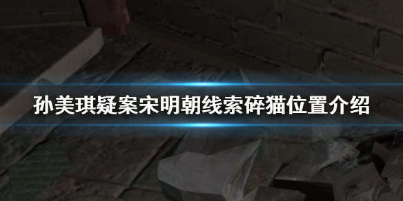 孙美琪疑案宋明朝碎猫在哪