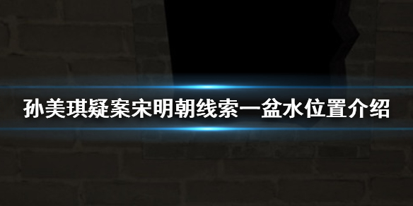 孙美琪疑案宋明朝一盆水在哪