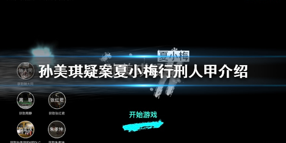 孙美琪疑案夏小梅行刑人甲线索在哪