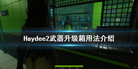 Haydee2武器升级箱怎么用