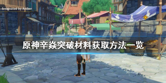 原神辛焱突破材料是什么