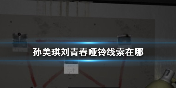 孙美琪疑案刘青春哑铃线索在哪
