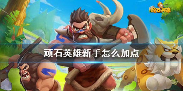 顽石英雄新手怎么加点