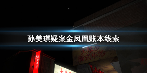 孙美琪疑案金凤凰账本线索在哪里