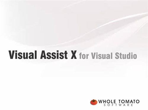 Visual Assist X1