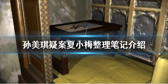 孙美琪疑案夏小梅整理笔记线索在哪