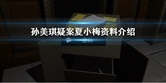 孙美琪疑案夏小梅资料线索在哪