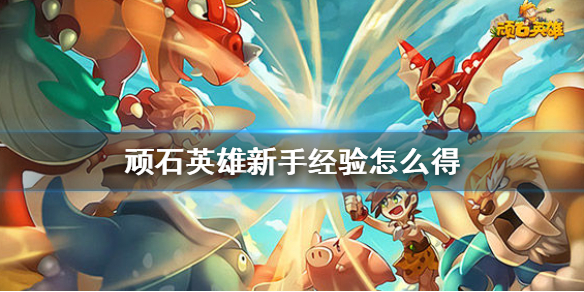 顽石英雄新手经验怎么获得