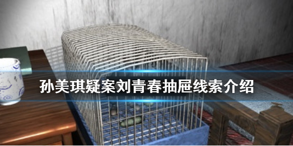 孙美琪疑案刘青春抽屉线索在哪